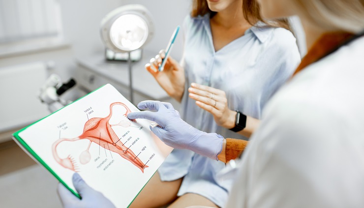 Прием (осмотр, консультация) врача-акушера-гинеколога-эндокринолога первичный в Южно-Сахалинске