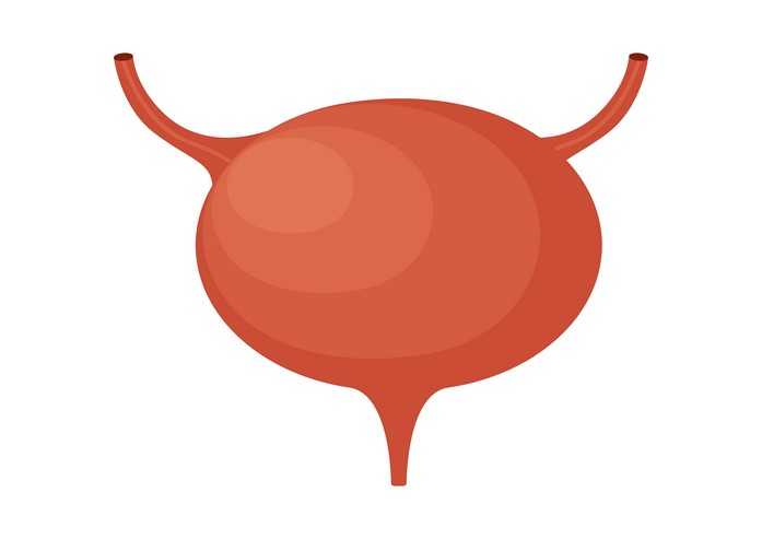 Внутривенная урография